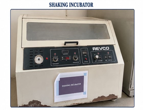 Shaking incubator